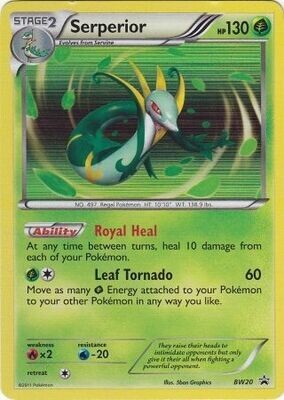 Serperior - BW20 - Holo Promo
Pokemon Black &amp; White Promos