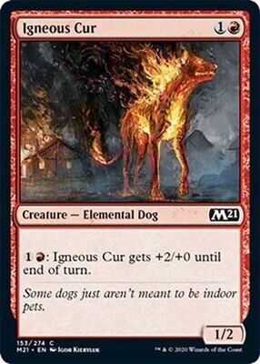 Igneous Cur 153/274 - Magic 2021 (M21) Singles