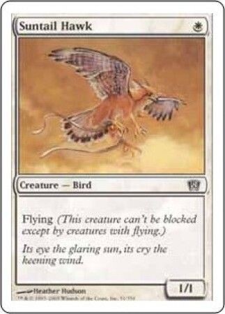 Suntail Hawk MTG 8th Edition Singles