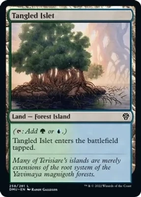 Tangled Islet - Dominaria United (DMU)
Dominaria United Foil