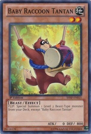 Baby Raccoon Tantan - SHSP-EN015 - Common 1st Edition Shadow Specters 1st Edition Singles