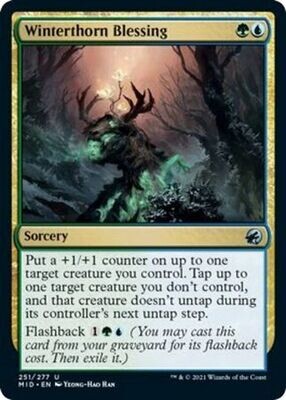 Winterthorn Blessing 251/277 Innistrad: Midnight Hunt Singles (Español)