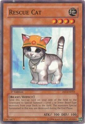 Rescue Cat - FET-EN033 - Common 1st Edition
Flaming Eternity [FET] 1st Edition Singles *Espanol*