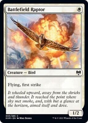 Battlefield Raptor 003/285
Kaldheim Singles  (Español)
