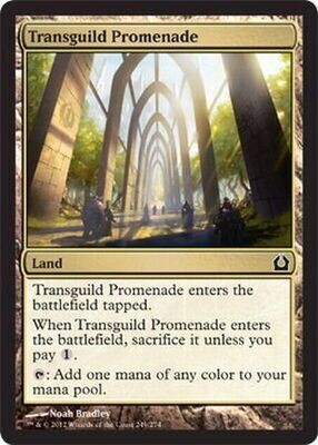 Transguild Promenade
Return to Ravnica Singles
