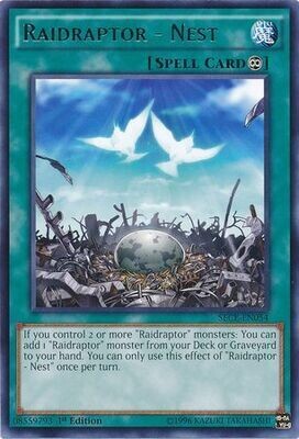 Raidraptor - Nest - SECE-EN054 - Rare 1st Edition
Secrets of Eternity (SECE) 1st Edition Singles