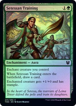 Setessan Training 201/254 - Foil
Theros: Beyond Death Foil Singles