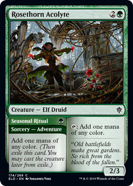 Rosethorn Acolyte 174/269 Throne of Eldraine Singles
