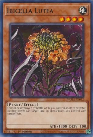 Ibicella Lutea - VASM-EN052 - Rare 1st Edition Valiant Smashers 1st Edition Singles