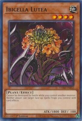 Ibicella Lutea - VASM-EN052 - Rare 1st Edition
Valiant Smashers 1st Edition Singles (Espanol)