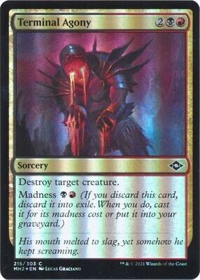 Terminal Agony 215/303 - Foil Modern Horizons 2 Foil Singles