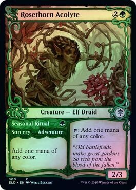 Rosethorn Acolyte 300/269 - Alternate Showcase Foil Throne of Eldraine Foil Singles