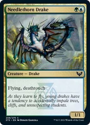 Needlethorn Drake 208/275
Strixhaven: School of Mages Singles