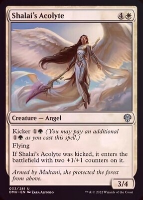 Shalai&#39;s Acolyte 033/281 - Foil
Dominaria United Foil Singles