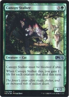 Canopy Stalker 175/274 - Foil
Magic 2021 (M21) Foil Singles