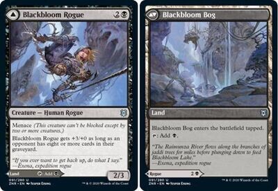 Blackbloom Rogue | Blackbloom Bog 091/280 - Zendikar Rising Singles