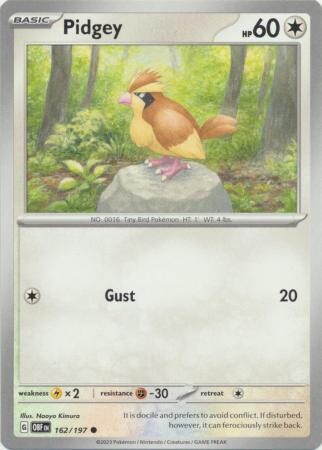 Pidgey - 162/197 - Common Obsidian Flames Singles