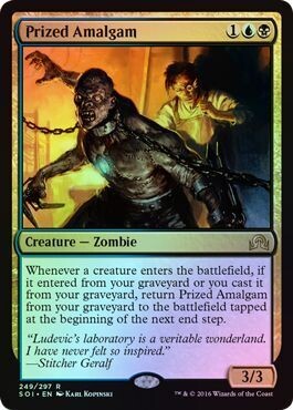 Prized Amalgam 249/297 -  Shadows over Innistrad Singles