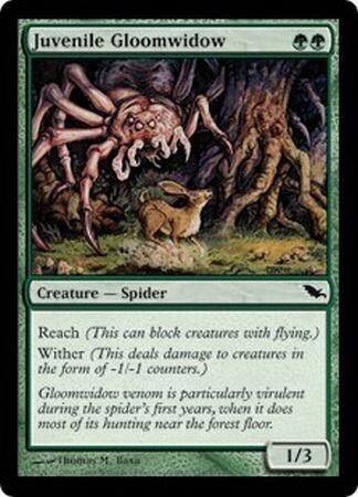 Juvenile Gloomwidow
Shadowmoor Singles
