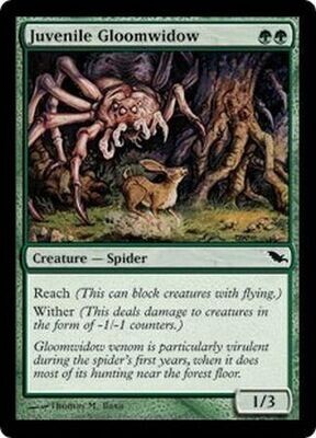 Juvenile Gloomwidow
Shadowmoor Singles