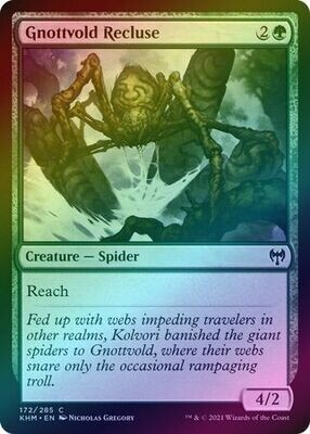 Gnottvold Recluse 172/285 - Foil
Kaldheim Foil Singles