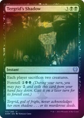 Tergrid&#39;s Shadow 113/285 - Foil Kaldheim Foil Singles (Español)