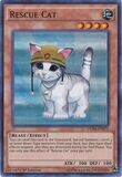 SJ Rescue Cat - DUSA-EN072 - Ultra Rare 1st Edition
Duelist Saga 1st Edition Singles