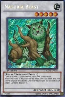SJ Naturia Beast - HA02-EN026 - Secret Rare 1st Edition
Hidden Arsenal 2 [HA02] 1st Edition Singles