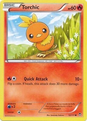 Torchic - 12/111 - Common
XY: Furious Fists Singles