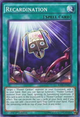 Recardination - RATE-EN057 - Common 1st Edition
Raging Tempest 1st Edition Singles