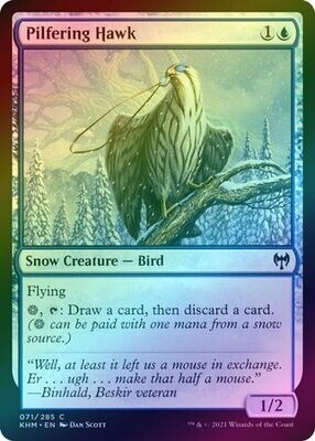Pilfering Hawk 071/285 - Foil
Kaldheim Foil Singles