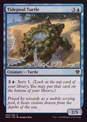 Tidepool Turtle 069/281 - Foil
Dominaria United Foil Singles