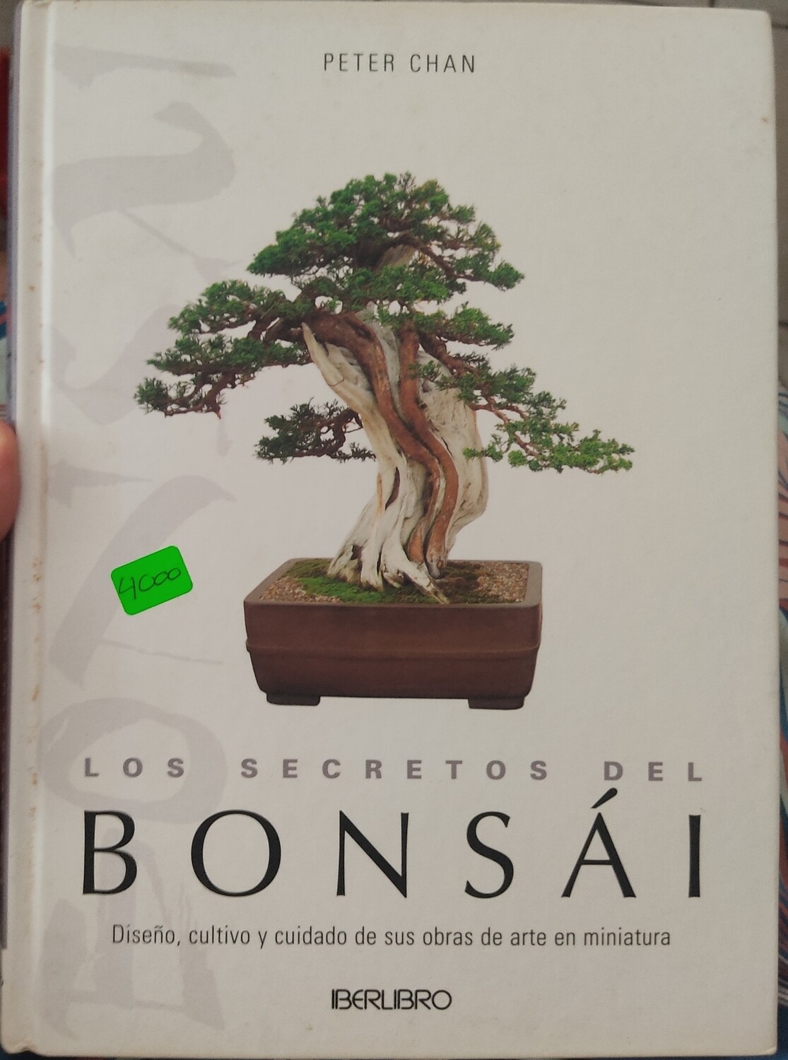 BA36 Los Secretos del Bonsai Tapa Dura Libro Espanol Peter Chan