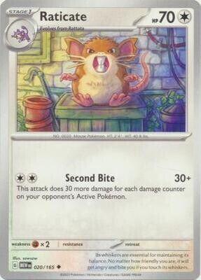Raticate - 020/165 - Uncommon
Scarlet &amp; Violet 151 Singles