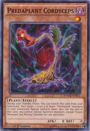 Predaplant Cordyceps - MACR-EN011 - Common 1st Edition Maximum Crisis 1st Edition Singles *Espanol*