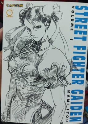 SJ Street Fighter Gaiden Volumen 1 Ingles Chun Li
