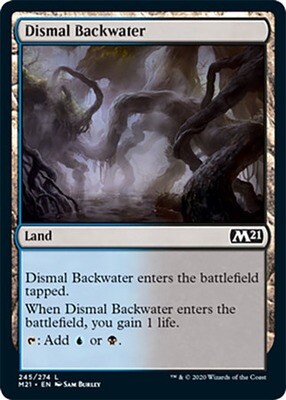 Dismal Backwater 245/274 - Magic 2021 (M21) Singles (Español)