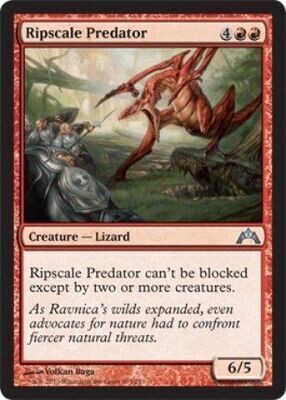 Ripscale Predator  103/249 - Gatecrash Singles (Español)