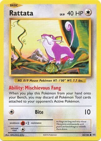 Rattata - 66/108 - Common
XY: Evolutions Singles