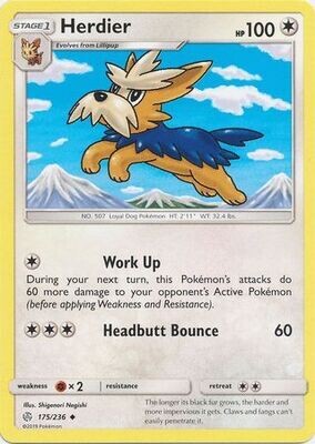 Herdier - 175/236 - Uncommon
Sun &amp; Moon: Cosmic Eclipse Singles