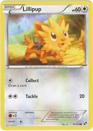 Lillipup - 81/114 - Common Black &amp; White 1: (Base Set) Singles