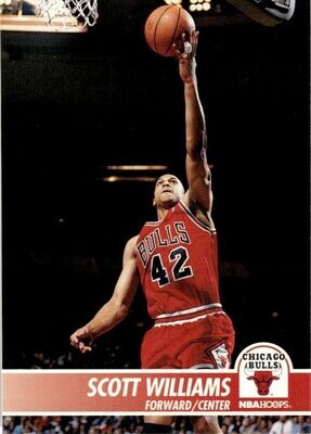 1994-95 NBA Hoops Basketball Card Scott Williams Chicago Bulls #31