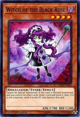 Witch of the Black Rose - LED4-EN030 - Common 1st Edition Legendary Duelists: Sisters of the Rose 1st Edition Singles