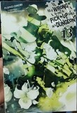 BA19 It is Wrong to try to pick up girls in a dungeon Novela Volumen 13 Ingles