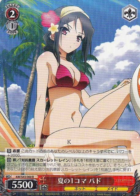 SH Weiss Schwarz)
Pad, A Slice of Summer Life / 夏の1コマ パド AW/S43-060 R Accel World