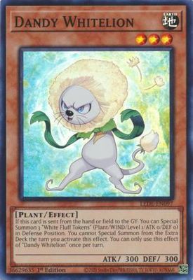 Dandy Whitelion - LEDE-EN097 - Super Rare 1st Edition Legacy of Destruction [LEDE] 1st Edition Singles