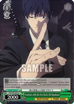 SJ Contract with the Fox Devil, Aki Hayakawa - Chainsaw Man (CSM)
Chainsaw Man