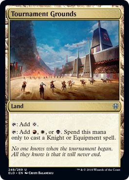 Tournament Grounds 248/269 Throne of Eldraine Singles (español)