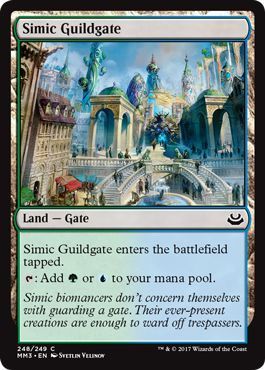 Simic Guildgate 248/249
Modern Masters 2017 Singles