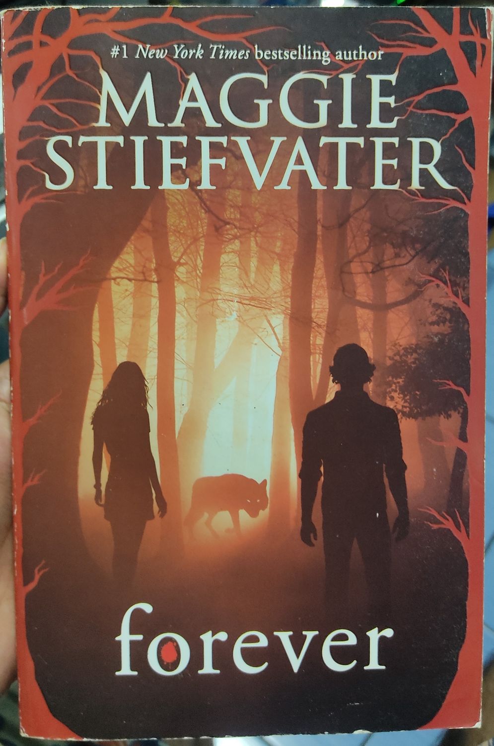 BA Forever Libro Ingles Maggie Stoefvater